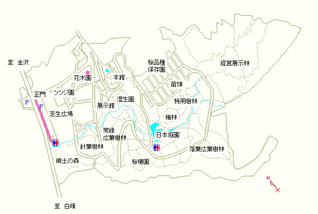 駐車場および花木園