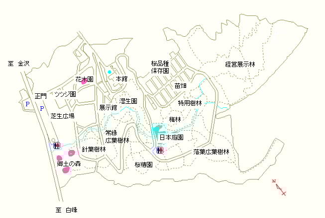 郷土の森および花木園