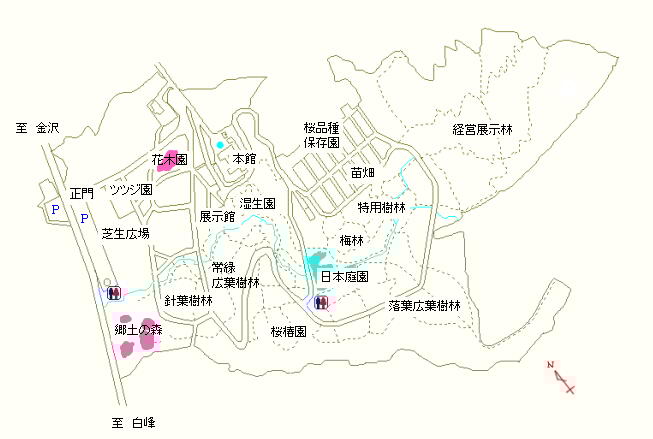 郷土の森および花木園