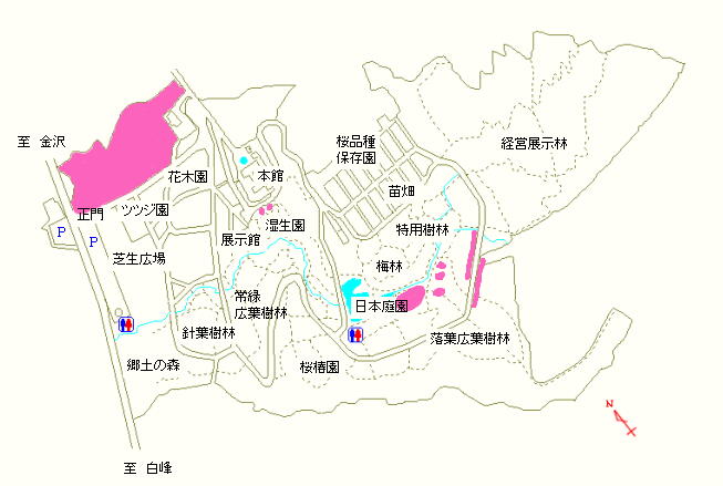 正門周辺、日本庭園および落葉広葉樹林