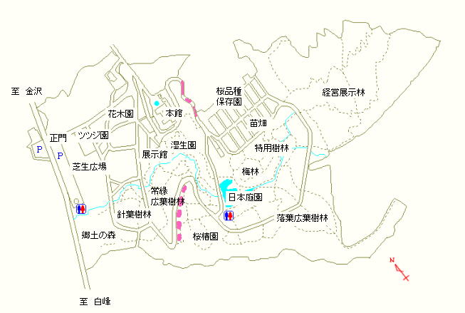 桜椿園および本館周辺