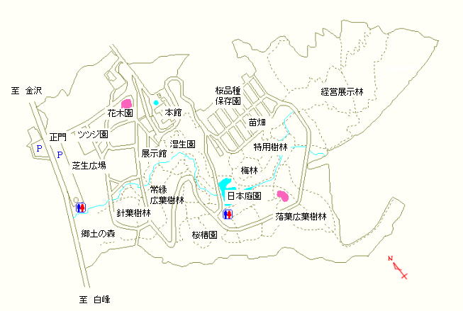 花木園および落葉広葉樹林