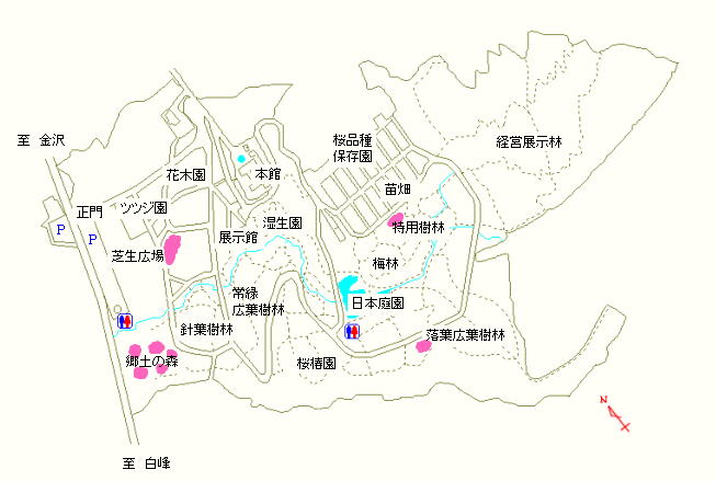 郷土の森、落葉広葉樹林および芝生広場周辺