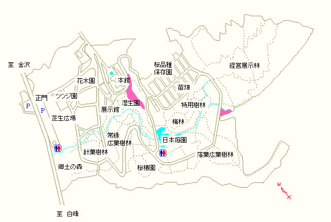 本館周辺、湿生園および経営展示林