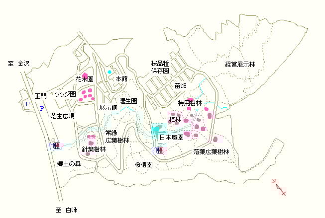 花木園、針葉樹林、日本庭園、梅林、特用樹林および落葉広葉樹林