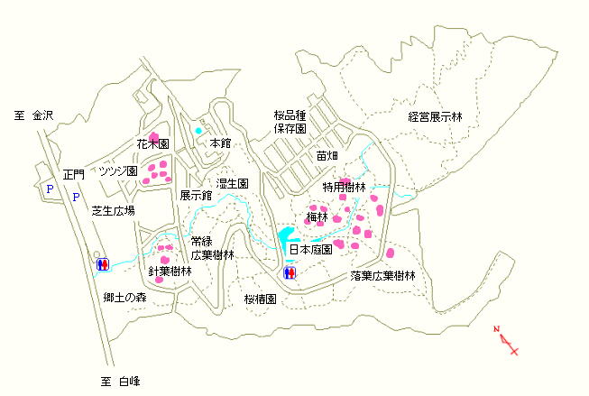 花木園、針葉樹林、日本庭園、梅林、特用樹林および落葉広葉樹林