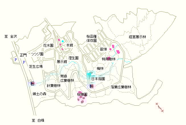 本館周辺、桜椿園および特用樹林