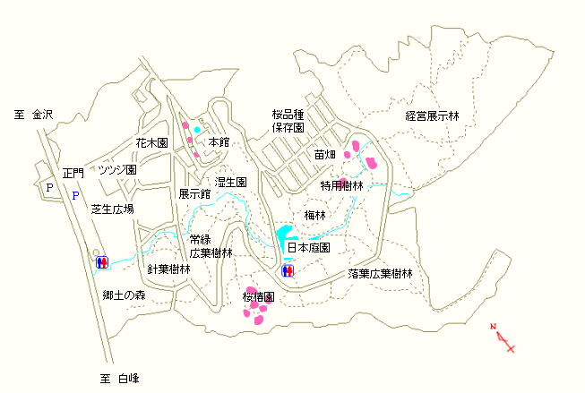 本館周辺、桜椿園および特用樹林