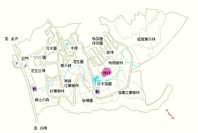 梅林