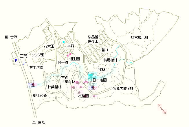 桜椿園