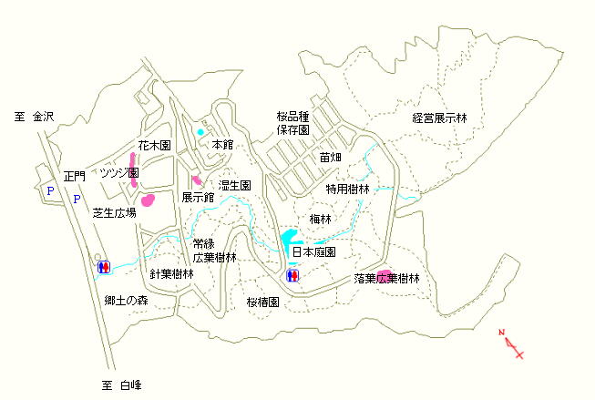 ツツジ園および落葉広葉樹林