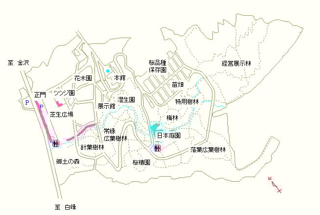 正門および芝生広場周辺