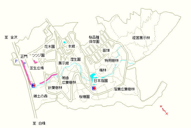 正門および芝生広場周辺