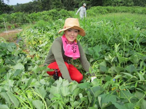 0522小池苗植え1