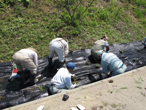 輪島小池作業の様子1