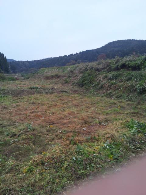 作業後6