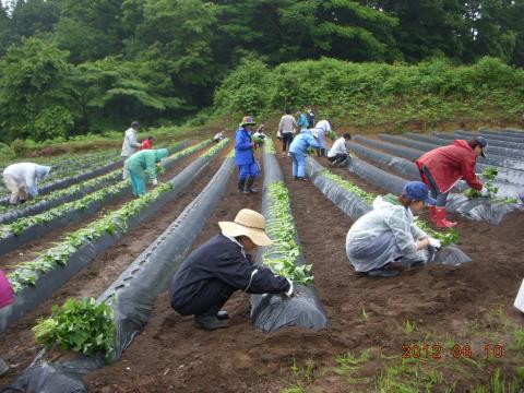 金沢小池作業の様子3