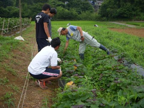 金沢小池作業の様子2