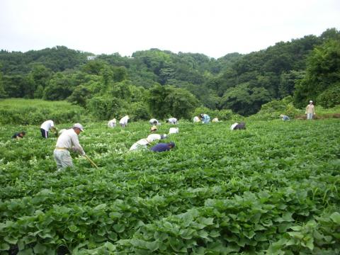 金沢小池作業の様子1