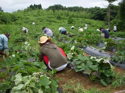 金沢小池作業の様子2