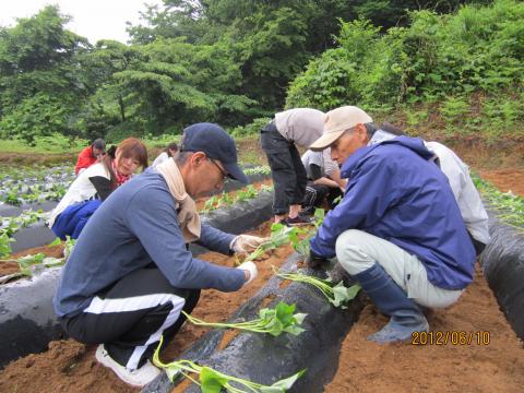 金沢小池作業の様子1