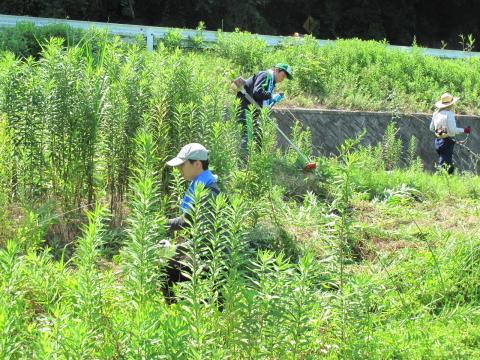 長崎作業の様子2