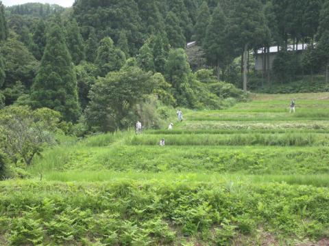 洲巻作業の様子2