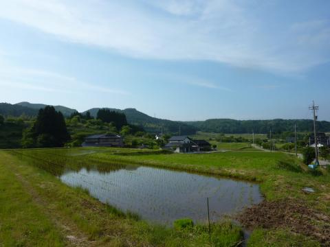 小牧棚田