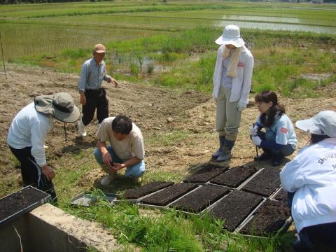 長崎大豆植え付け1