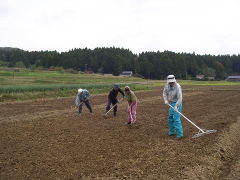 土をかぶせる作業