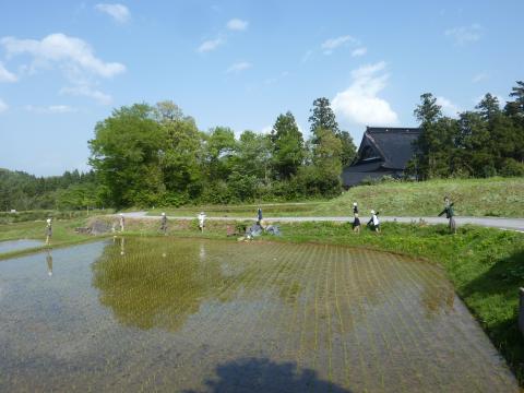 0514金蔵風景