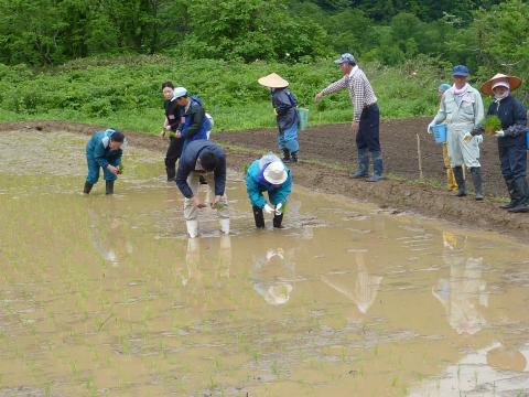 0522木滑田植え2