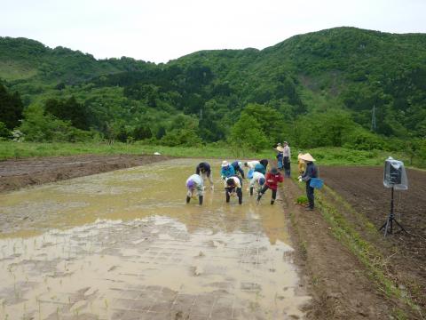 0522木滑田植え1