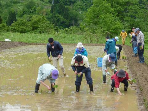 0522木滑田植え4