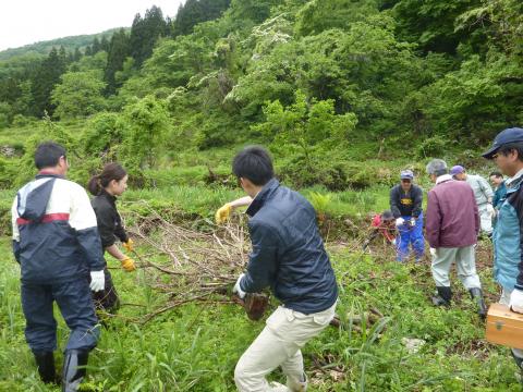 0522木滑枝粉砕1