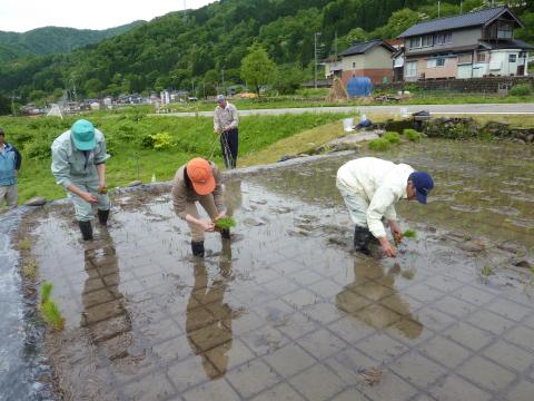 0522木滑田植え6