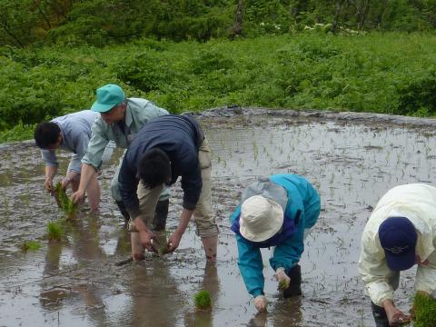 0522木滑田植え7