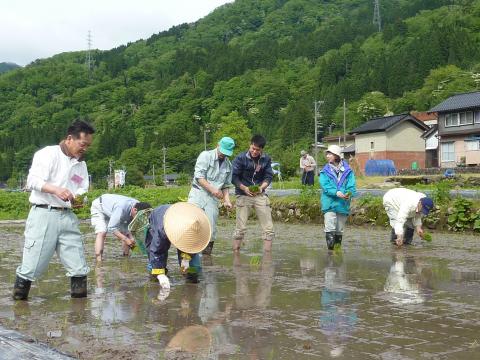 0522木滑田植え8