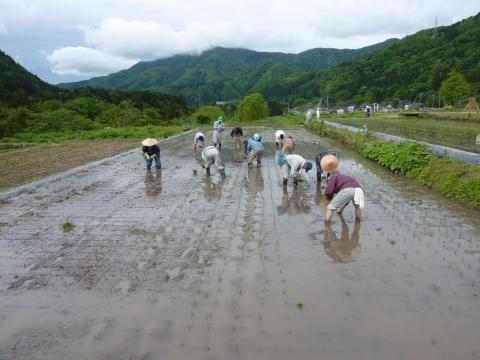 0522木滑田植え5