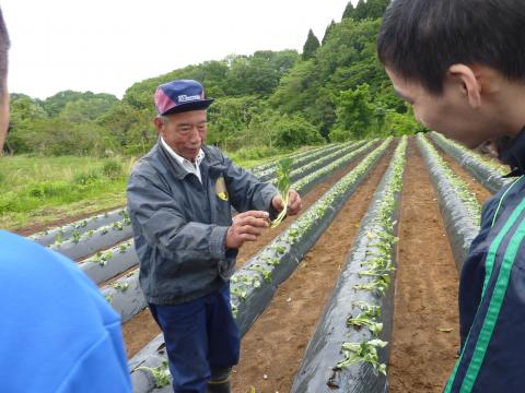 0522苗植え指導1