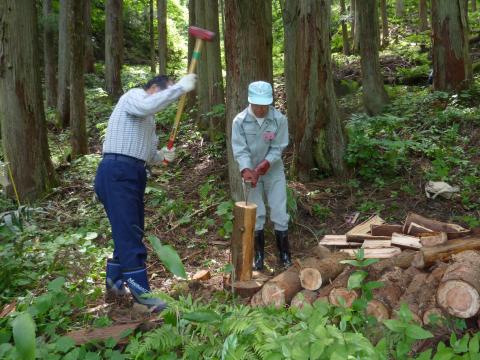 丸太を半分に