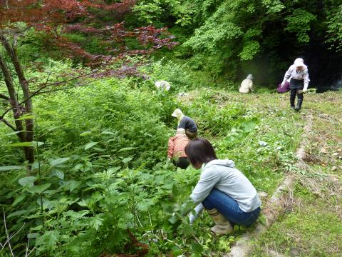 滝谷の滝周辺の草刈り