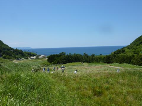 棚田から海