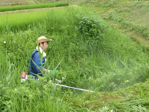 作業の様子2