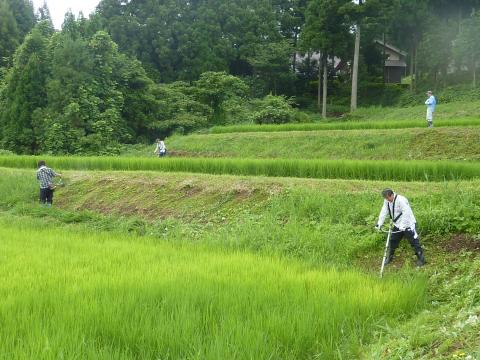 作業の様子3