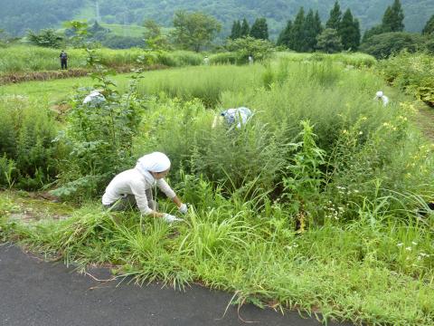 作業の様子2