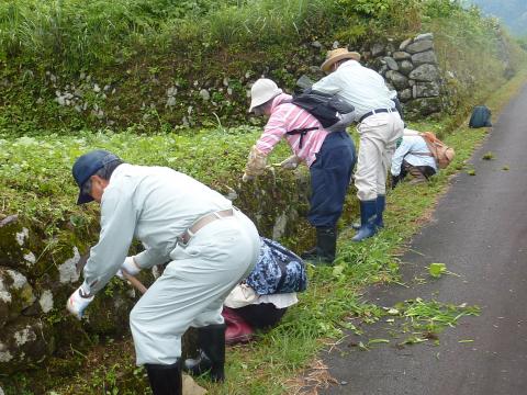 石垣での作業の様子