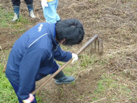 穴掘り