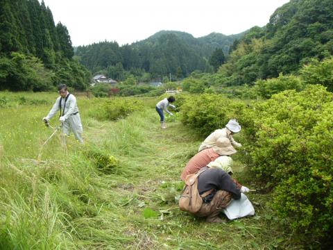 作業の様子1