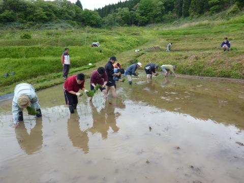 大呑作業の様子1